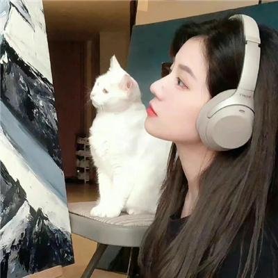 绿夜